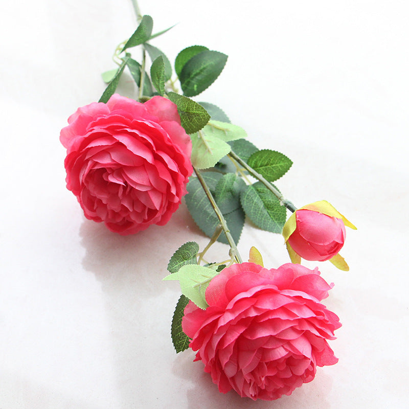 Wedding Flower Arch Decor – Silk Peony Flowers for Photography & Events